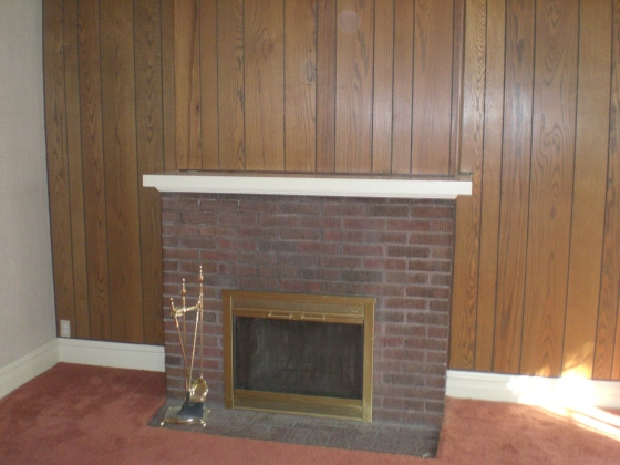 wood paneling around fireplace